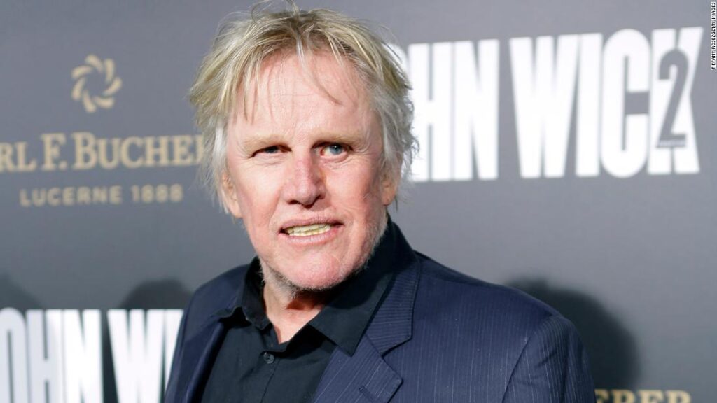 actor-gary-busey-faces-sex-offense-charges-at-monster-mania-convention-in-new-jersey