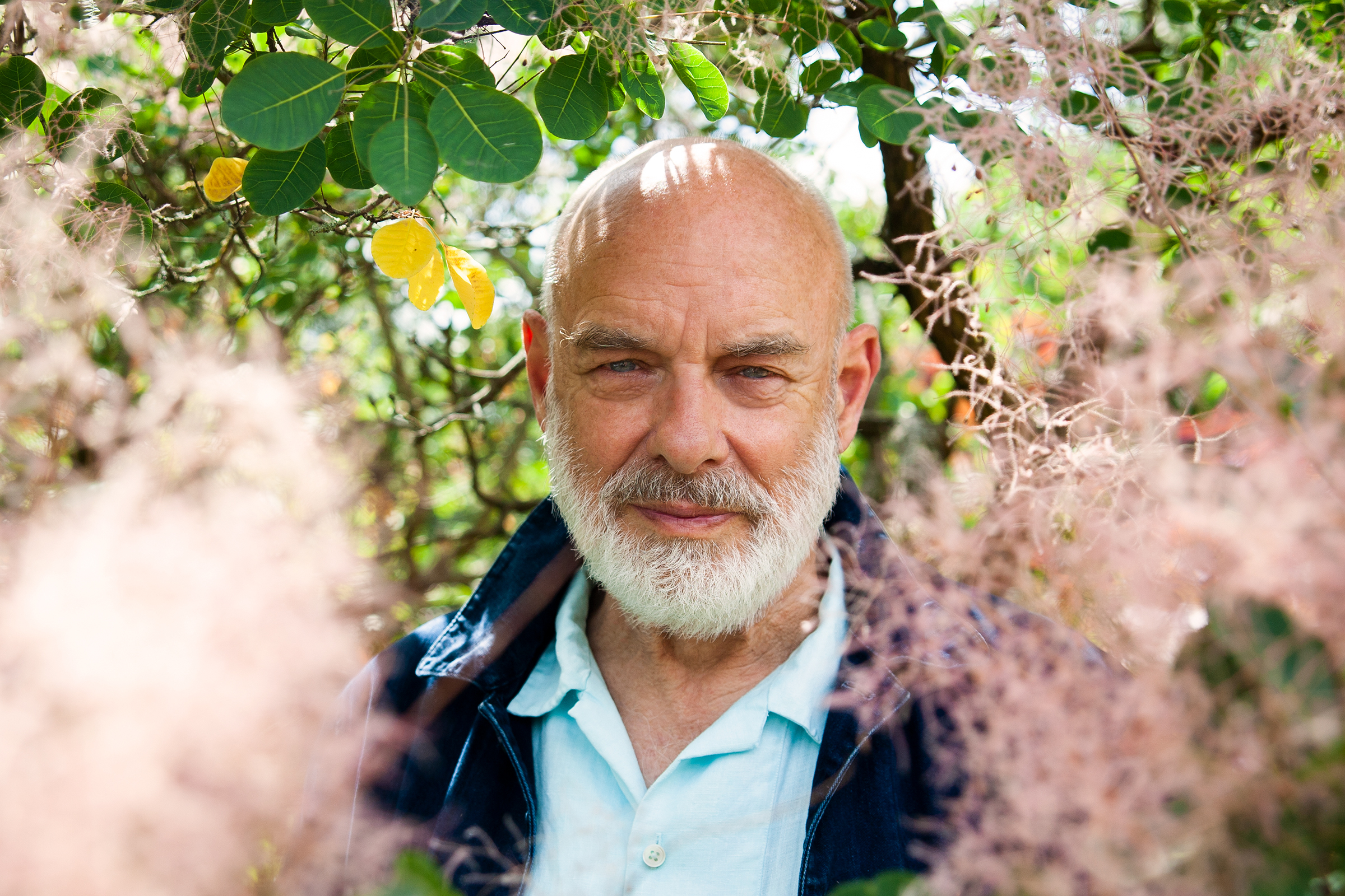 brian-eno-welcomes-the-sun-on-‘lowered’-new-single-‘we-let-it-in’