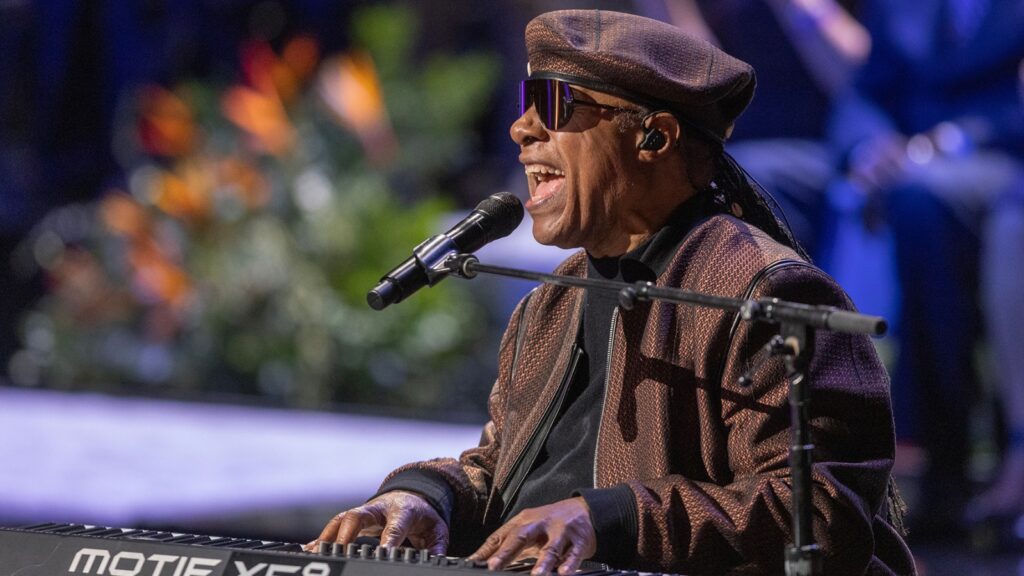 ‘it-is-time-for-us-to-grow-the-f-up’:-stevie-wonder-shares-powerful-message-for-mlk-day