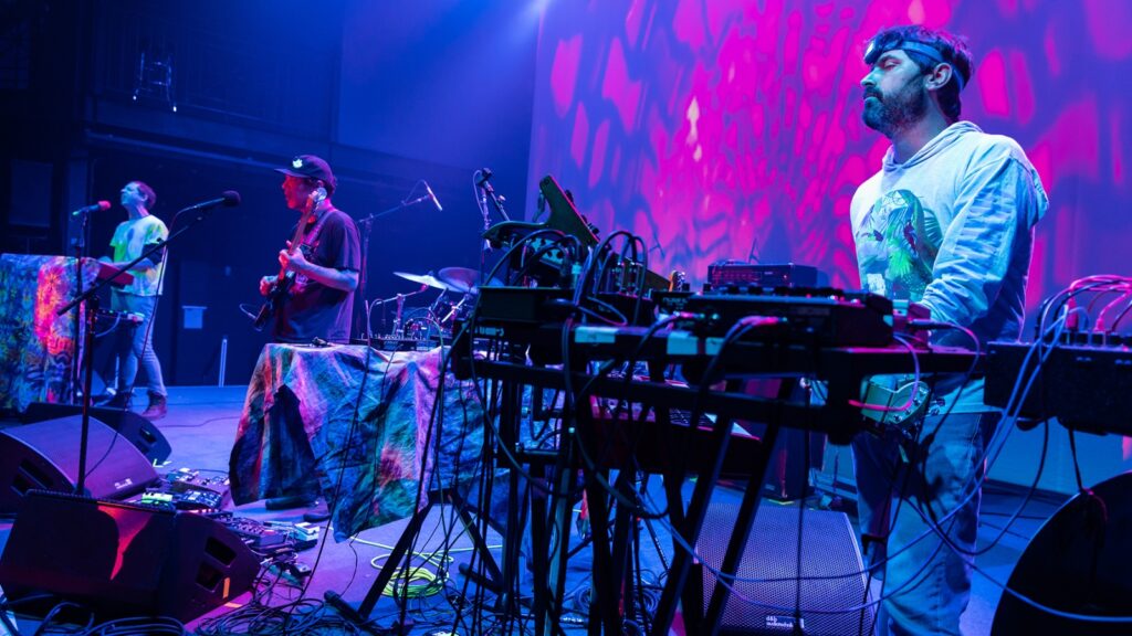 animal-collective’s-ancient-fleetwood-mac-cover-to-come-out-this-spring