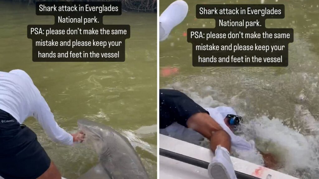 man-bitten-and-dragged-off-boat-by-shark-in-florida