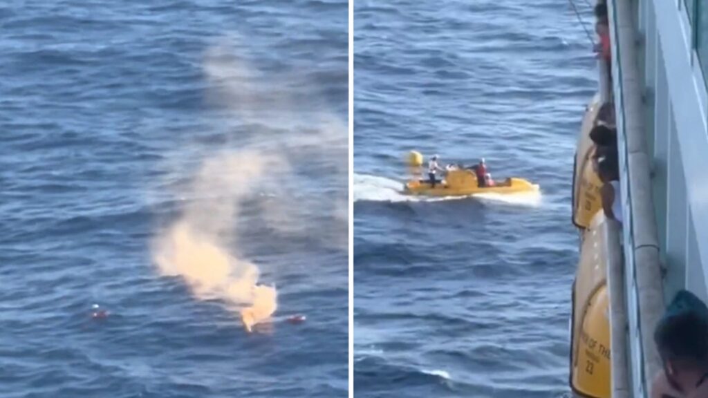 cruise-ship-passenger-survives-after-falling-overboard-from-10th-deck