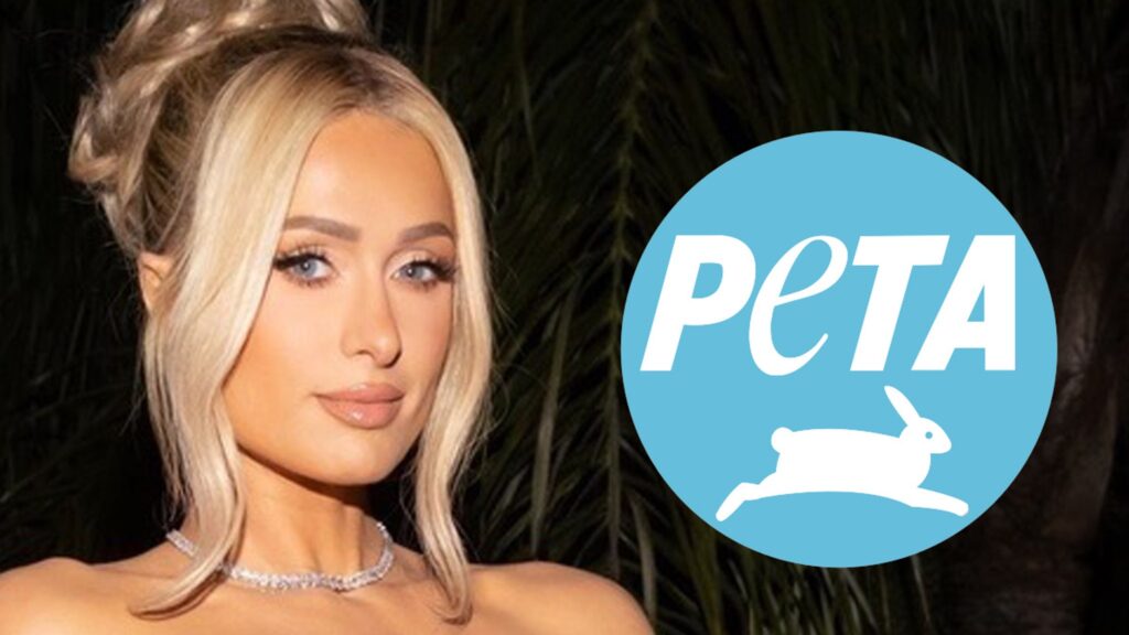 paris-hilton-called-out-by-peta-for-not-adopting-new-puppy