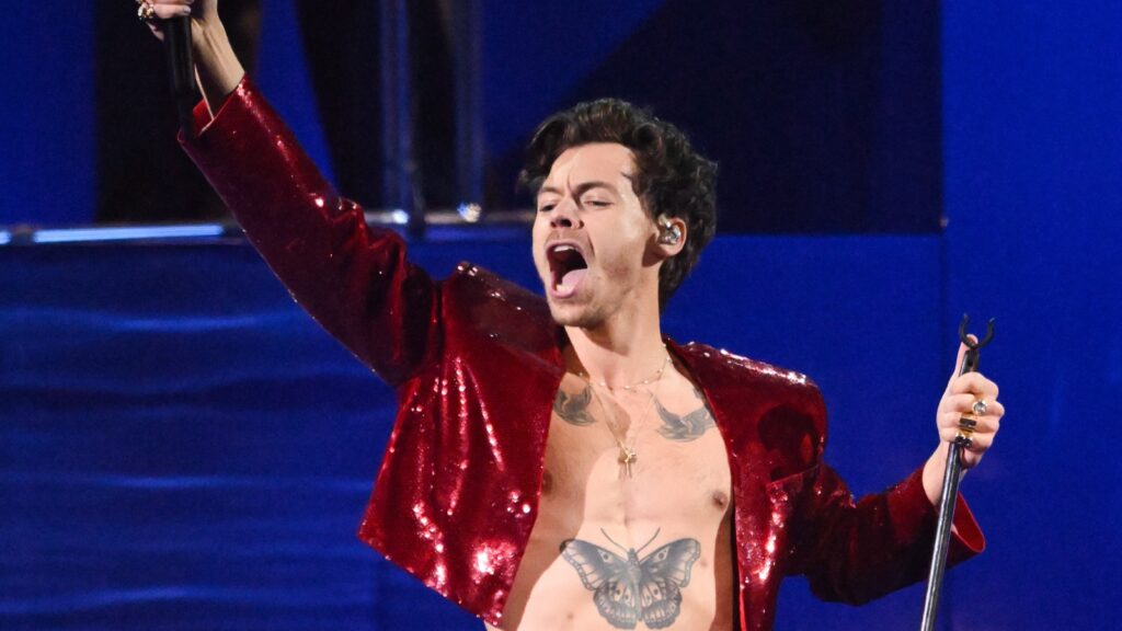 harry-styles-seemingly-hit-in-the-eye-by-object-during-vienna-concert