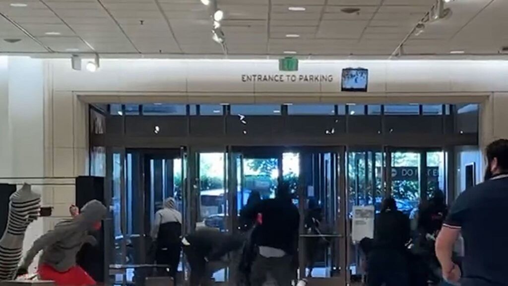 flash-mob-hits-nordstrom-in-brazen-smash-and-grab-looting
