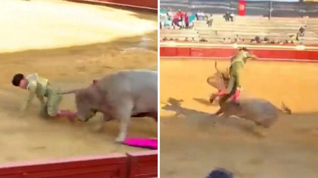 bullfighter-violently-gored-in-ass,-horrifying-video