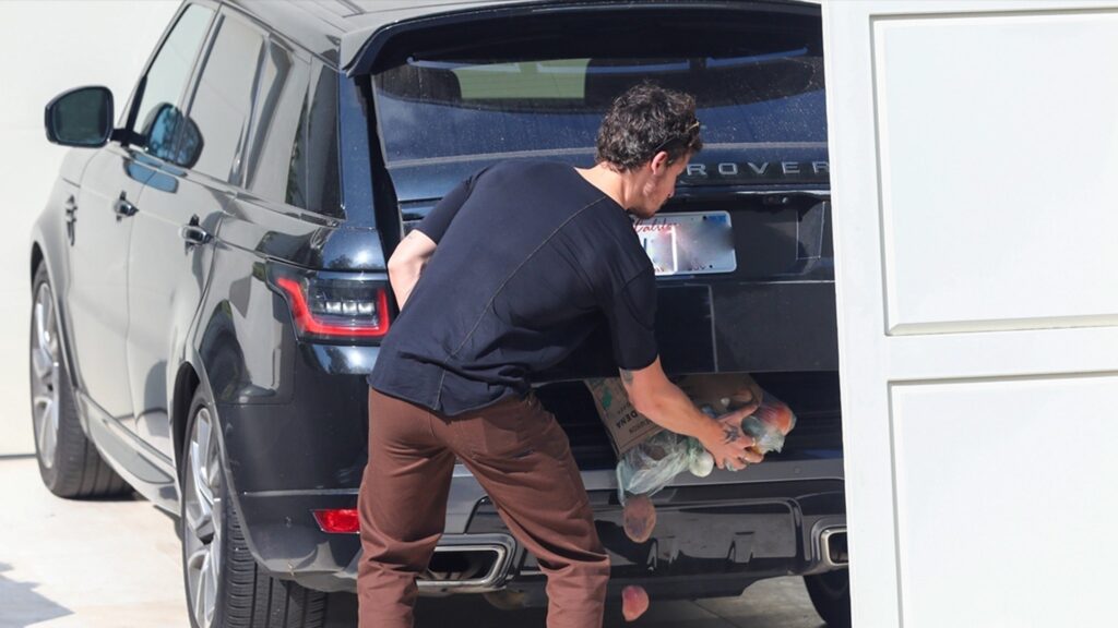 shawn-mendes-groceries-fall-out-of-trunk-as-he-unloads