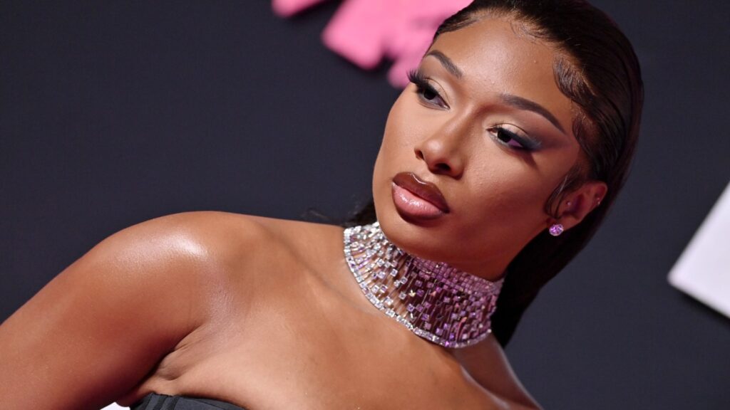 megan-thee-stallion-urges-‘check-in-on-your-friends’-for-seize-the-awkward-psa
