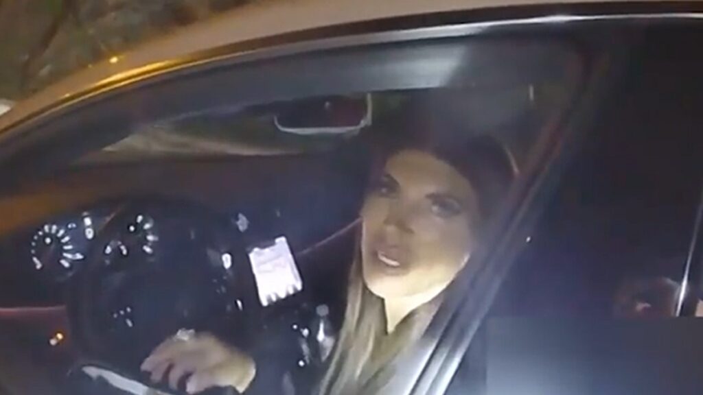 teresa-giudice-offers-family-business-cards-to-cop-during-traffic-stop