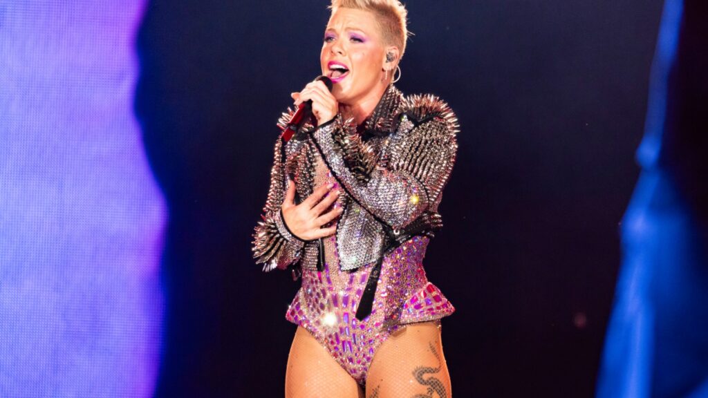 pink-postpones-summer-carnival-tour-shows-citing-‘family-medical-issues’
