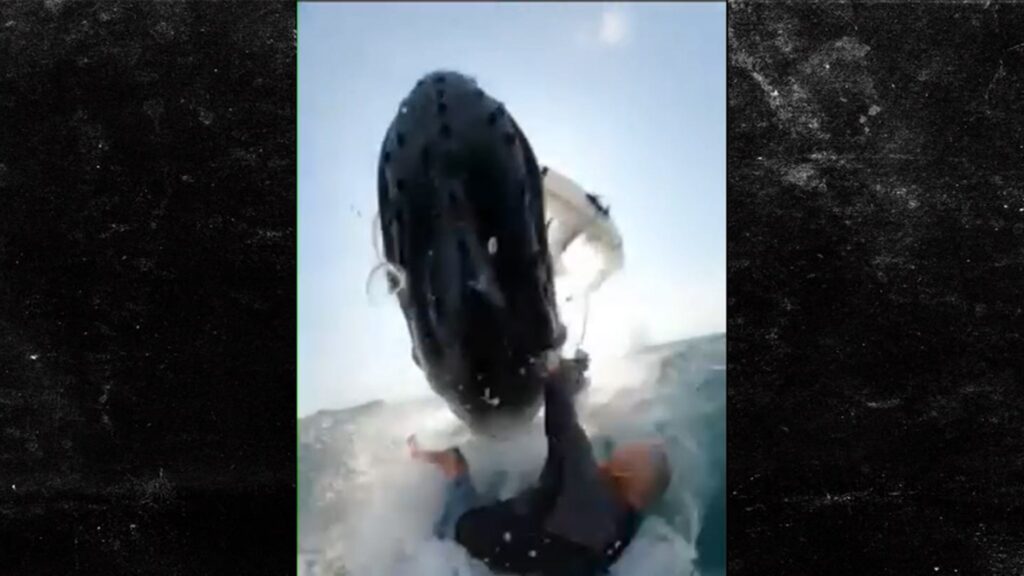 australian-windsurfer-slams-into-massive-whale-during-wild-ocean-ride