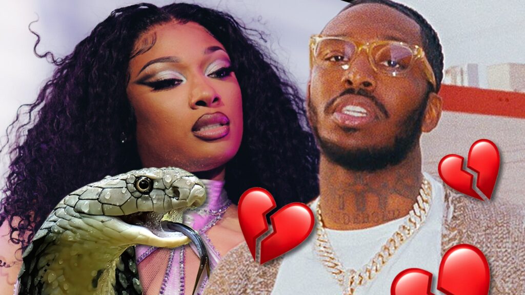 megan-thee-stallion-hints-on-new-‘cobra’-track-pardison-fontaine-cheated