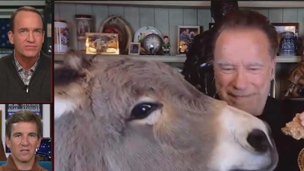 peyton-manning-shocked-after-arnold-schwarzenegger-feeds-donkey-on-tv