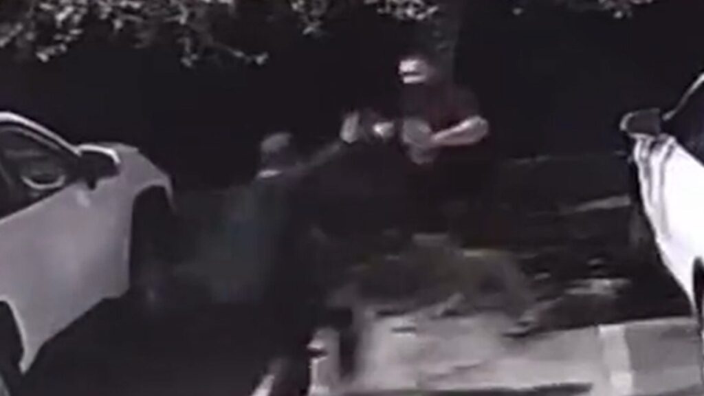 former-mma-fighter-bodyslams-man-attacking-him-with-knife-in-miami