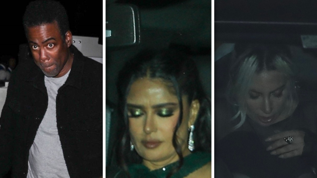 leonardo-dicaprio-has-49th-birthday-party-with-tons-of-celebrity-guests