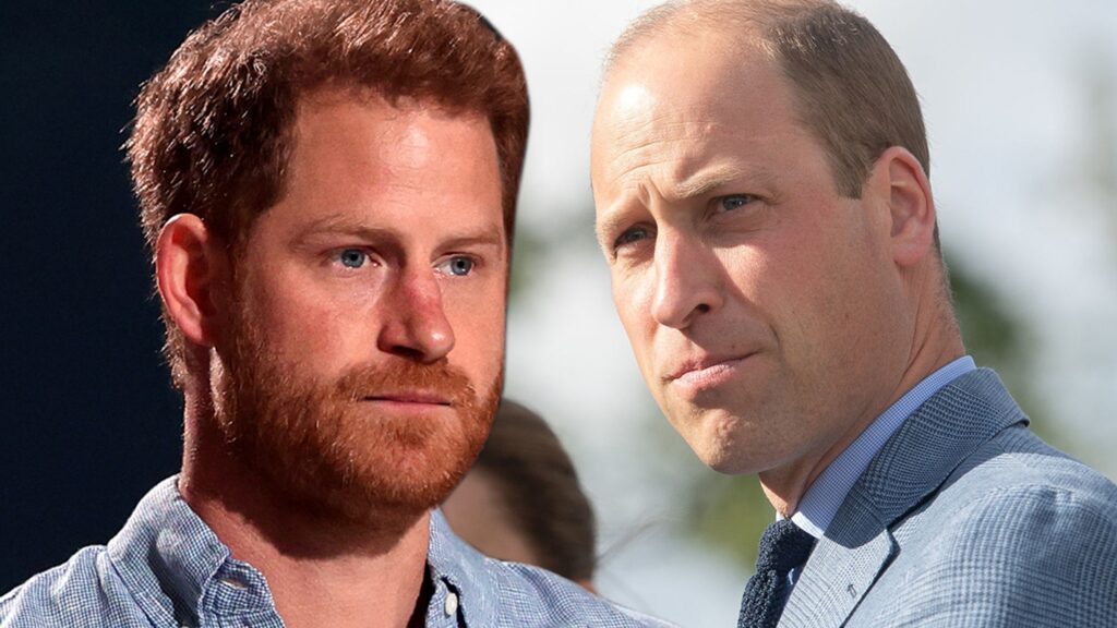 prince-william-ignored-prince-harry-right-before-queen-elizabeth-ii-died