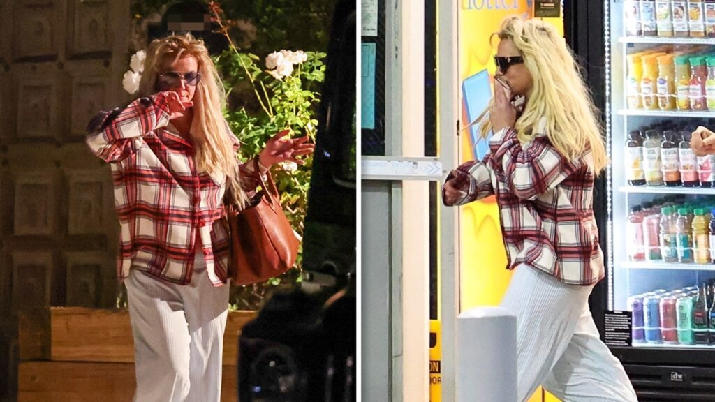 britney-spears-rushes-to-vet-in-medical-emergency-during-birthday-celebration