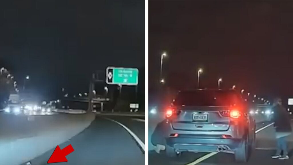 runaway-dog-makes-a-dash-for-it-down-highway,-rescue-on-camera
