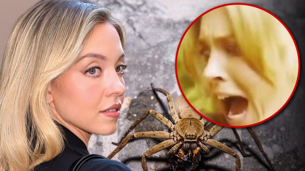 sydney-sweeney-bitten-by-huntsman-spider,-terror-stricken-reaction-on-cam