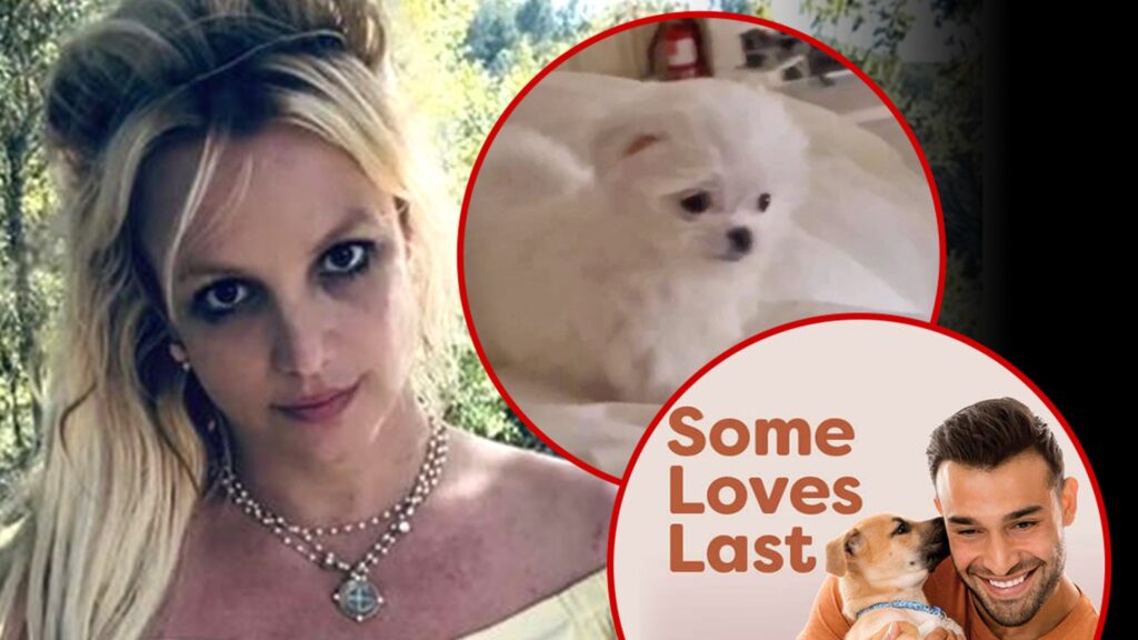 britney-spears’-ex-sam-asghari-has-new-gig-with-peta,-appears-to-take-shot